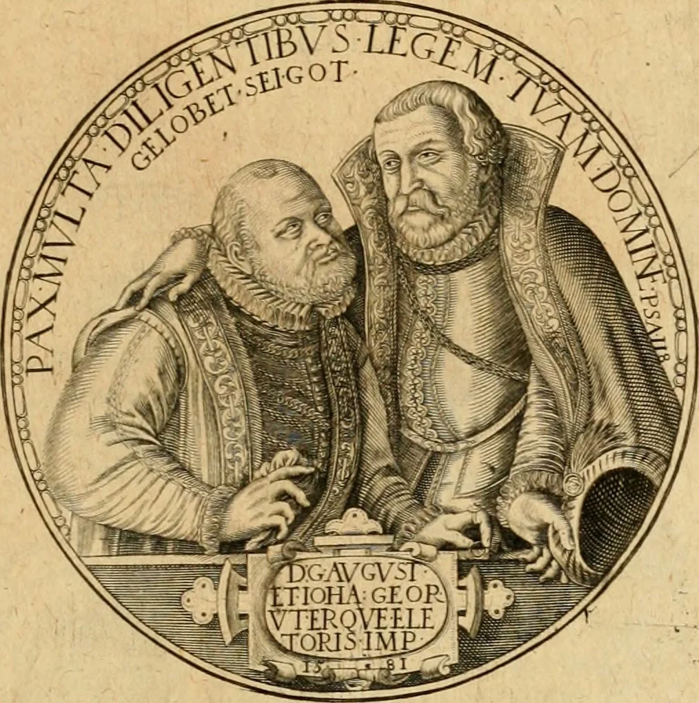 An illustration from Sylloge numismatum elegantiorum, quae diuersi impp., reges, principes, comites, respublicae diuersas ob causas ab anno 1500 ad annum usq[ue] 1600 cudi fecerunt, concinnata & historica narratione (sed breui) illustrata, 1620, leaf 310