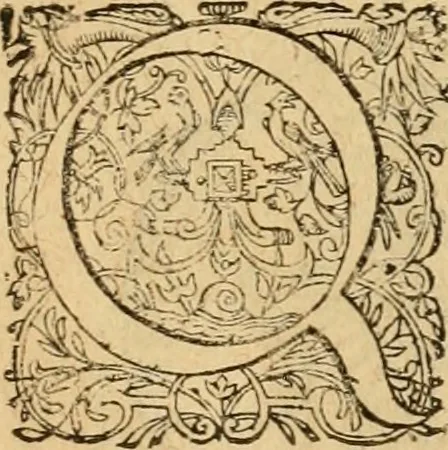 An illustration from Sylloge numismatum elegantiorum, quae diuersi impp., reges, principes, comites, respublicae diuersas ob causas ab anno 1500 ad annum usq[ue] 1600 cudi fecerunt, concinnata & historica narratione (sed breui) illustrata, 1620, leaf 310
