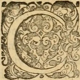 An illustration from Sylloge numismatum elegantiorum, quae diuersi impp., reges, principes, comites, respublicae diuersas ob causas ab anno 1500 ad annum usq[ue] 1600 cudi fecerunt, concinnata & historica narratione (sed breui) illustrata, 1620, leaf 314