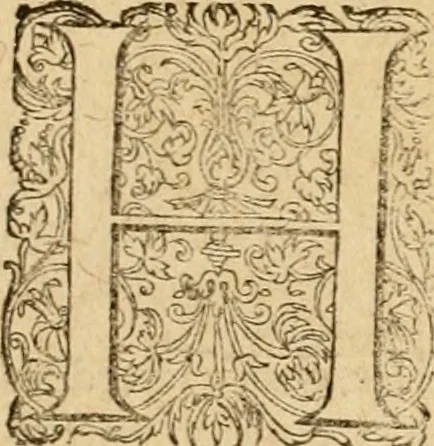 An illustration from Sylloge numismatum elegantiorum, quae diuersi impp., reges, principes, comites, respublicae diuersas ob causas ab anno 1500 ad annum usq[ue] 1600 cudi fecerunt, concinnata & historica narratione (sed breui) illustrata, 1620, leaf 318