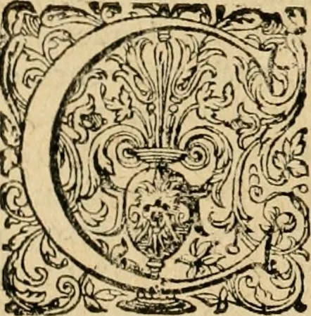 An illustration from Sylloge numismatum elegantiorum, quae diuersi impp., reges, principes, comites, respublicae diuersas ob causas ab anno 1500 ad annum usq[ue] 1600 cudi fecerunt, concinnata & historica narratione (sed breui) illustrata, 1620, leaf 319