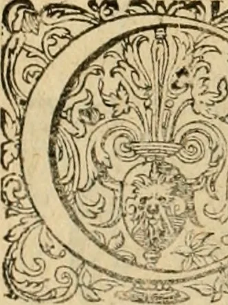 An illustration from Sylloge numismatum elegantiorum, quae diuersi impp., reges, principes, comites, respublicae diuersas ob causas ab anno 1500 ad annum usq[ue] 1600 cudi fecerunt, concinnata & historica narratione (sed breui) illustrata, 1620, leaf 321