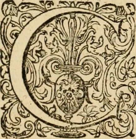 An illustration from Sylloge numismatum elegantiorum, quae diuersi impp., reges, principes, comites, respublicae diuersas ob causas ab anno 1500 ad annum usq[ue] 1600 cudi fecerunt, concinnata & historica narratione (sed breui) illustrata, 1620, leaf 327