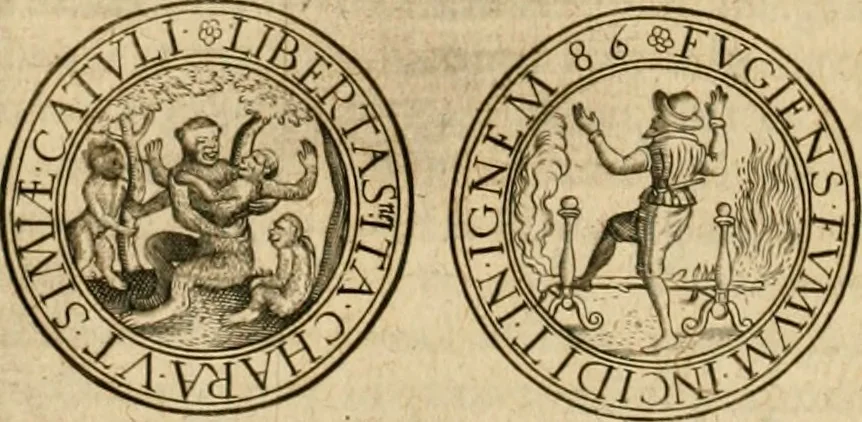 An illustration from Sylloge numismatum elegantiorum, quae diuersi impp., reges, principes, comites, respublicae diuersas ob causas ab anno 1500 ad annum usq[ue] 1600 cudi fecerunt, concinnata & historica narratione (sed breui) illustrata, 1620, leaf 329