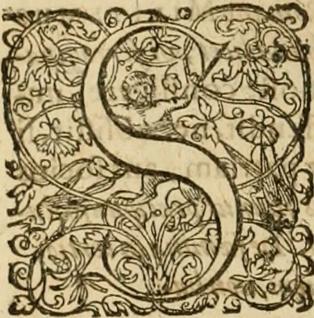 An illustration from Sylloge numismatum elegantiorum, quae diuersi impp., reges, principes, comites, respublicae diuersas ob causas ab anno 1500 ad annum usq[ue] 1600 cudi fecerunt, concinnata & historica narratione (sed breui) illustrata, 1620, leaf 333