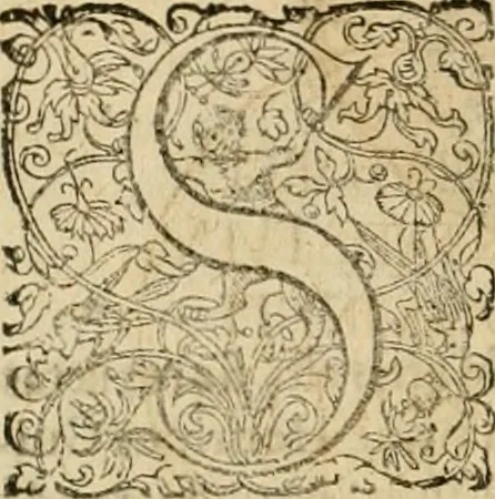 An illustration from Sylloge numismatum elegantiorum, quae diuersi impp., reges, principes, comites, respublicae diuersas ob causas ab anno 1500 ad annum usq[ue] 1600 cudi fecerunt, concinnata & historica narratione (sed breui) illustrata, 1620, leaf 335