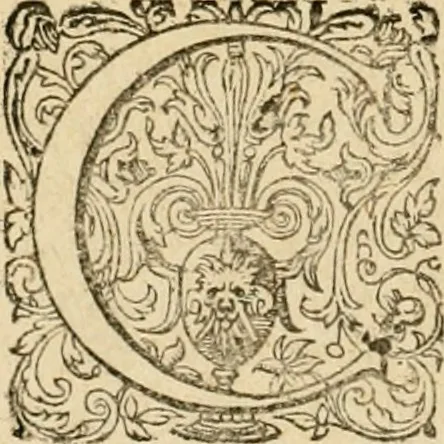 An illustration from Sylloge numismatum elegantiorum, quae diuersi impp., reges, principes, comites, respublicae diuersas ob causas ab anno 1500 ad annum usq[ue] 1600 cudi fecerunt, concinnata & historica narratione (sed breui) illustrata, 1620, leaf 341