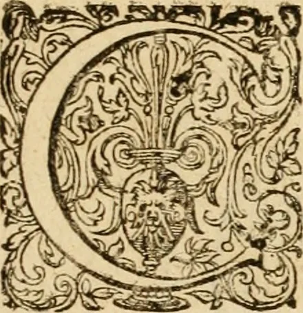An illustration from Sylloge numismatum elegantiorum, quae diuersi impp., reges, principes, comites, respublicae diuersas ob causas ab anno 1500 ad annum usq[ue] 1600 cudi fecerunt, concinnata & historica narratione (sed breui) illustrata, 1620, leaf 354
