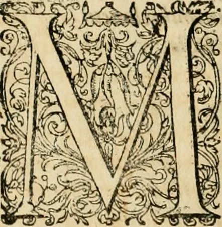 An illustration from Sylloge numismatum elegantiorum, quae diuersi impp., reges, principes, comites, respublicae diuersas ob causas ab anno 1500 ad annum usq[ue] 1600 cudi fecerunt, concinnata & historica narratione (sed breui) illustrata, 1620, leaf 377