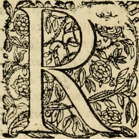 An illustration from Sylloge numismatum elegantiorum, quae diuersi impp., reges, principes, comites, respublicae diuersas ob causas ab anno 1500 ad annum usq[ue] 1600 cudi fecerunt, concinnata & historica narratione (sed breui) illustrata, 1620, leaf 379