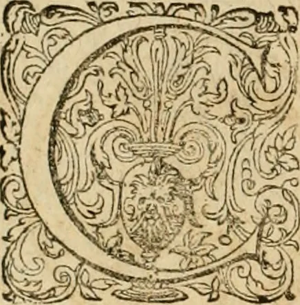 An illustration from Sylloge numismatum elegantiorum, quae diuersi impp., reges, principes, comites, respublicae diuersas ob causas ab anno 1500 ad annum usq[ue] 1600 cudi fecerunt, concinnata & historica narratione (sed breui) illustrata, 1620, leaf 383