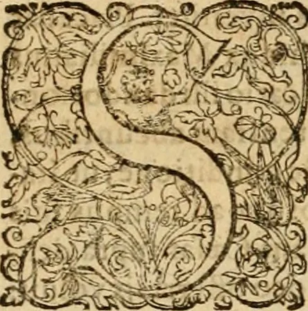 An illustration from Sylloge numismatum elegantiorum, quae diuersi impp., reges, principes, comites, respublicae diuersas ob causas ab anno 1500 ad annum usq[ue] 1600 cudi fecerunt, concinnata & historica narratione (sed breui) illustrata, 1620, leaf 392