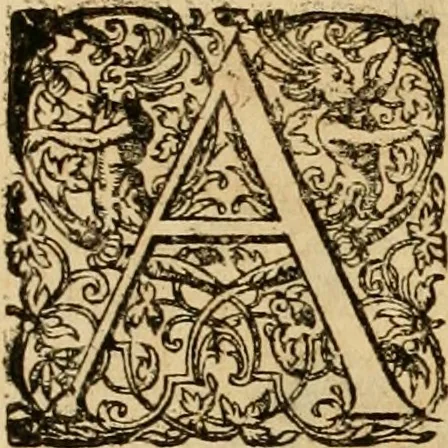 An illustration from Sylloge numismatum elegantiorum, quae diuersi impp., reges, principes, comites, respublicae diuersas ob causas ab anno 1500 ad annum usq[ue] 1600 cudi fecerunt, concinnata & historica narratione (sed breui) illustrata, 1620, leaf 400
