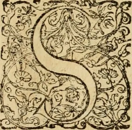 An illustration from Sylloge numismatum elegantiorum, quae diuersi impp., reges, principes, comites, respublicae diuersas ob causas ab anno 1500 ad annum usq[ue] 1600 cudi fecerunt, concinnata & historica narratione (sed breui) illustrata, 1620, leaf 412