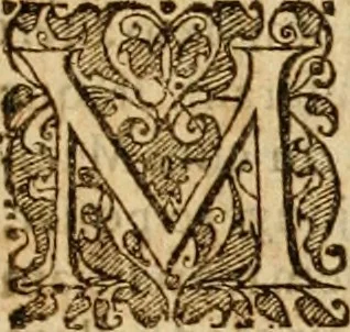 An illustration from Sylloge numismatum elegantiorum, quae diuersi impp., reges, principes, comites, respublicae diuersas ob causas ab anno 1500 ad annum usq[ue] 1600 cudi fecerunt, concinnata & historica narratione (sed breui) illustrata, 1620, leaf 42