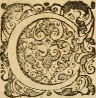An illustration from Sylloge numismatum elegantiorum, quae diuersi impp., reges, principes, comites, respublicae diuersas ob causas ab anno 1500 ad annum usq[ue] 1600 cudi fecerunt, concinnata & historica narratione (sed breui) illustrata, 1620, leaf 46