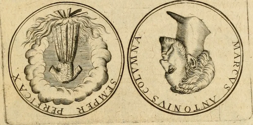 An illustration from Sylloge numismatum elegantiorum, quae diuersi impp., reges, principes, comites, respublicae diuersas ob causas ab anno 1500 ad annum usq[ue] 1600 cudi fecerunt, concinnata & historica narratione (sed breui) illustrata, 1620, leaf 62