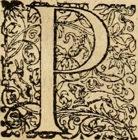 An illustration from Sylloge numismatum elegantiorum, quae diuersi impp., reges, principes, comites, respublicae diuersas ob causas ab anno 1500 ad annum usq[ue] 1600 cudi fecerunt, concinnata & historica narratione (sed breui) illustrata, 1620, leaf 8