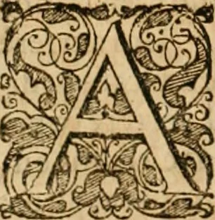 An illustration from Sylloge numismatum elegantiorum, quae diuersi impp., reges, principes, comites, respublicae diuersas ob causas ab anno 1500 ad annum usq[ue] 1600 cudi fecerunt, concinnata & historica narratione (sed breui) illustrata, 1620, leaf 85