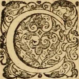 An illustration from Sylloge numismatum elegantiorum, quae diuersi impp., reges, principes, comites, respublicae diuersas ob causas ab anno 1500 ad annum usq[ue] 1600 cudi fecerunt, concinnata & historica narratione (sed breui) illustrata, 1620, leaf 88