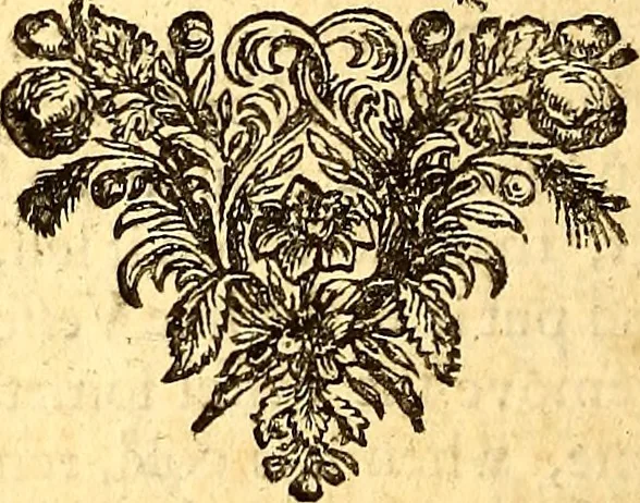 An illustration from Sylva sylvarum; or, A natural history. In ten centuries; whereunto is newly added the History natural and experimental of life and death, or of the prolongation of life, 1670, leaf 113