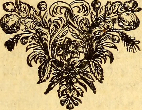 An illustration from Sylva sylvarum; or, A natural history. In ten centuries; whereunto is newly added the History natural and experimental of life and death, or of the prolongation of life, 1670, leaf 132