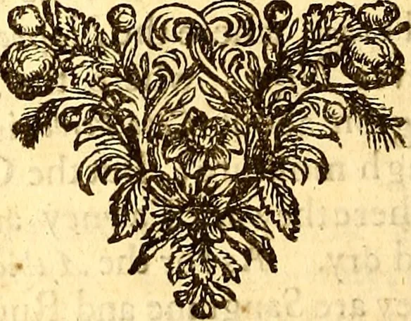 An illustration from Sylva sylvarum; or, A natural history. In ten centuries; whereunto is newly added the History natural and experimental of life and death, or of the prolongation of life, 1670, leaf 173