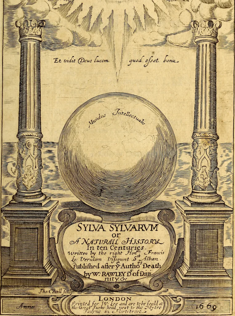 An illustration from Sylva sylvarum; or, A natural history. In ten centuries; whereunto is newly added the History natural and experimental of life and death, or of the prolongation of life, 1670, leaf 18