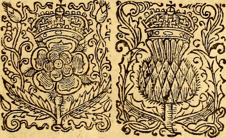 An illustration from Sylva sylvarum; or, A natural history. In ten centuries; whereunto is newly added the History natural and experimental of life and death, or of the prolongation of life, 1670, leaf 38