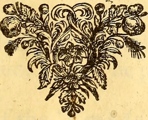 An illustration from Sylva sylvarum; or, A natural history. In ten centuries; whereunto is newly added the History natural and experimental of life and death, or of the prolongation of life, 1670, leaf 54