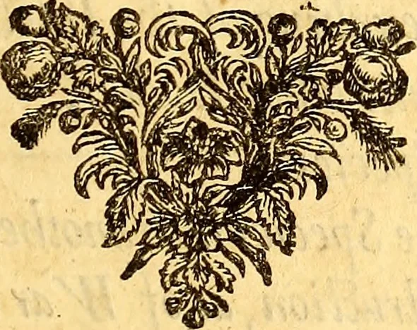 An illustration from Sylva sylvarum; or, A natural history. In ten centuries; whereunto is newly added the History natural and experimental of life and death, or of the prolongation of life, 1670, leaf 82