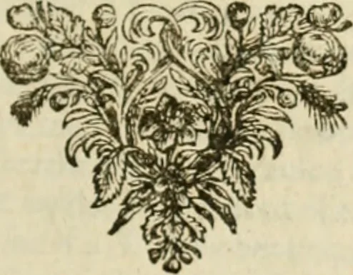 An illustration from Sylva sylvarum; or, A natural history, in ten centuries. Whereunto is newly added the History natural and experimental of life and death, or of the prolongation of life, 1670, leaf 116