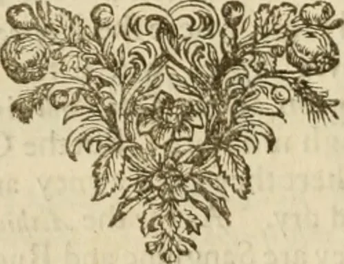 An illustration from Sylva sylvarum; or, A natural history, in ten centuries. Whereunto is newly added the History natural and experimental of life and death, or of the prolongation of life, 1670, leaf 157