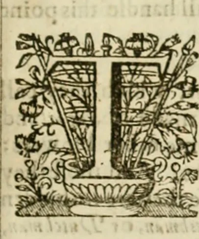 An illustration from Sylva sylvarum; or, A natural history, in ten centuries. Whereunto is newly added the History natural and experimental of life and death, or of the prolongation of life, 1670, leaf 216