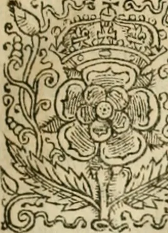 An illustration from Sylva sylvarum; or, A natural history, in ten centuries. Whereunto is newly added the History natural and experimental of life and death, or of the prolongation of life, 1670, leaf 24