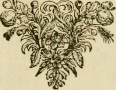 An illustration from Sylva sylvarum; or, A natural history, in ten centuries. Whereunto is newly added the History natural and experimental of life and death, or of the prolongation of life, 1670, leaf 306