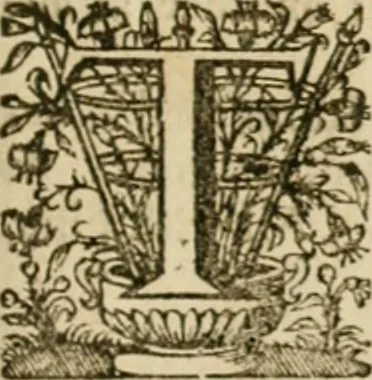 An illustration from Sylva sylvarum; or, A natural history, in ten centuries. Whereunto is newly added the History natural and experimental of life and death, or of the prolongation of life, 1670, leaf 308