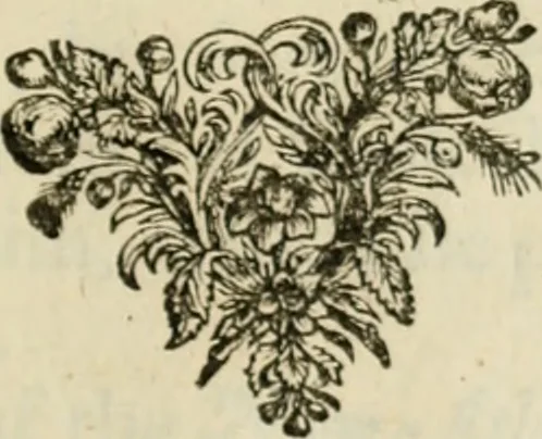 An illustration from Sylva sylvarum; or, A natural history, in ten centuries. Whereunto is newly added the History natural and experimental of life and death, or of the prolongation of life, 1670, leaf 38