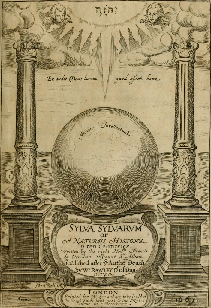 An illustration from Sylva sylvarum; or, A natural history, in ten centuries. Whereunto is newly added the History natural and experimental of life and death, or of the prolongation of life, 1670, leaf 6