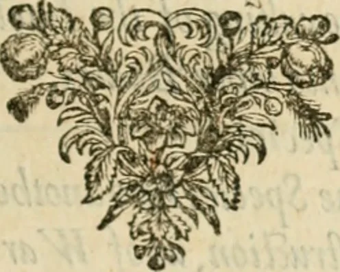 An illustration from Sylva sylvarum; or, A natural history, in ten centuries. Whereunto is newly added the History natural and experimental of life and death, or of the prolongation of life, 1670, leaf 66