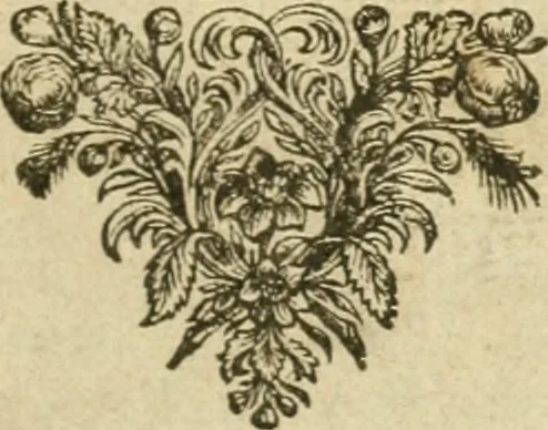 An illustration from Sylva sylvarum; or, A natural history, in ten centuries. Whereunto is newly added, The history natural and experimental of liee [sic] and death; or, Of the prolongation of life, 1670, leaf 6