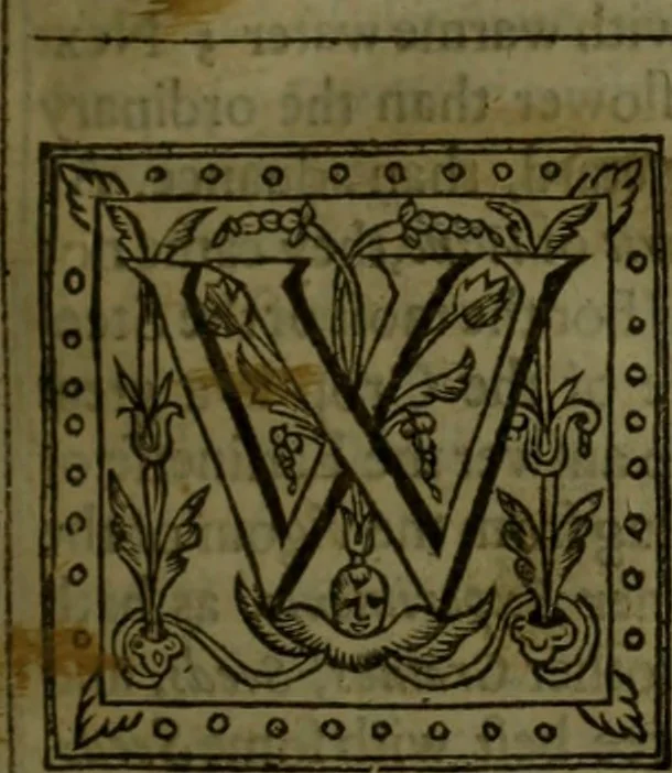 An illustration from Sylva sylvarvm : or, A naturall historie, in ten centuries, 1627, leaf 126