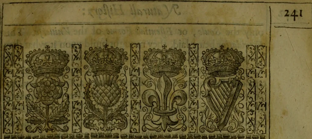 An illustration from Sylva sylvarvm : or, A naturall historie, in ten centuries, 1627, leaf 258