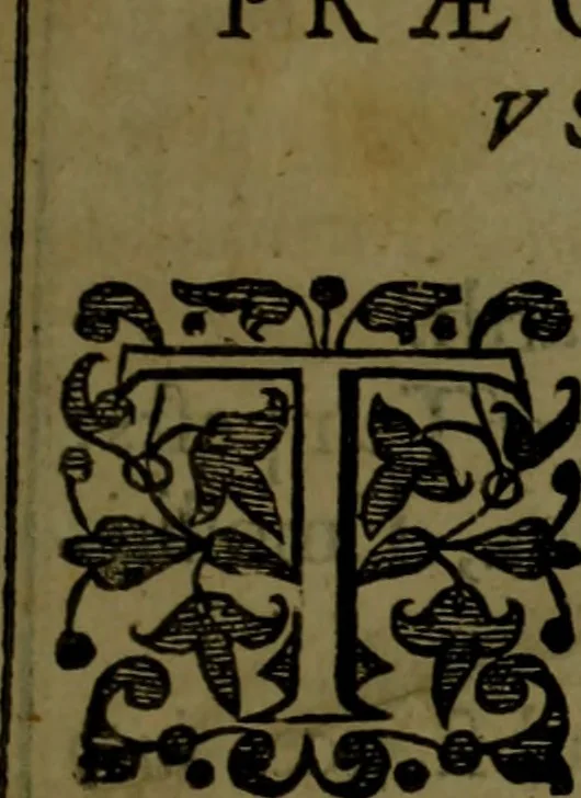 An illustration from Sylva sylvarvm : or, A naturall historie, in ten centuries, 1627, leaf 346