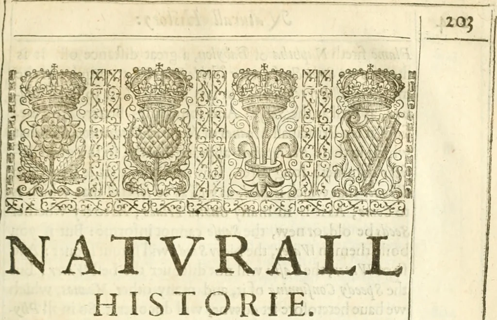 An illustration from Sylva sylvarvm; or, A naturall historie, in ten centuries, 1628, leaf 220