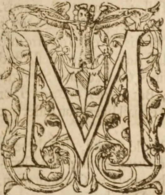 An illustration from Sylva sylvarvm: or, A naturall historie. In ten centvries, 1631, leaf 52