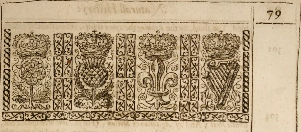 An illustration from Sylva sylvarvm: or, A naturall historie. In ten centvries, 1631, leaf 96