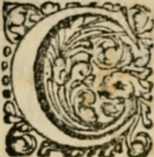 An illustration from Sylva sylvarvm; sive, Historia naturalis, in decem centurias distributa, 1648, leaf 15