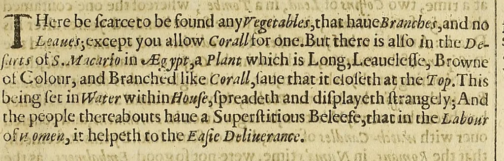 An illustration from Sylvia sylvarvm; or, A naturall historie, 1631, leaf 211