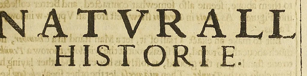 An illustration from Sylvia sylvarvm; or, A naturall historie, 1631, leaf 75